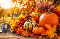 Mehrere Kürbisse und bunte Herbstblätter liegen auf einem Holztisch vor einem unscharfen herbstlichen Hintergrund und einer kleinen runden Einblendung der Reisebegleitung