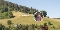 Landschaft mit Wiesenhügeln und Wald im Hintergrund, Schriftzug 'BAIERSBRONN' auf dem Hang, daneben Porträt eines Mannes mit Bart und kariertem Hemd in einem weißen Kreis